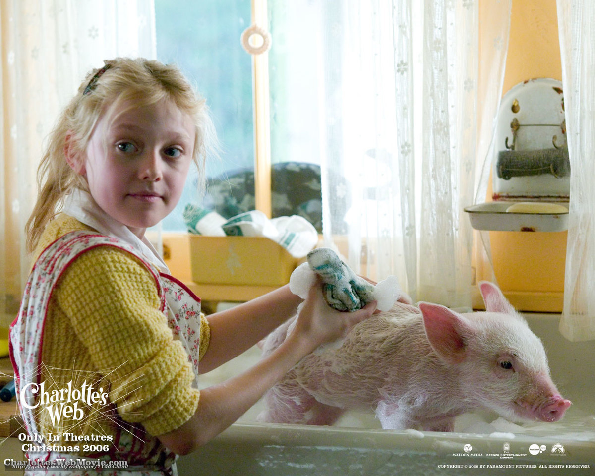 Girl bathing pig in bathtub