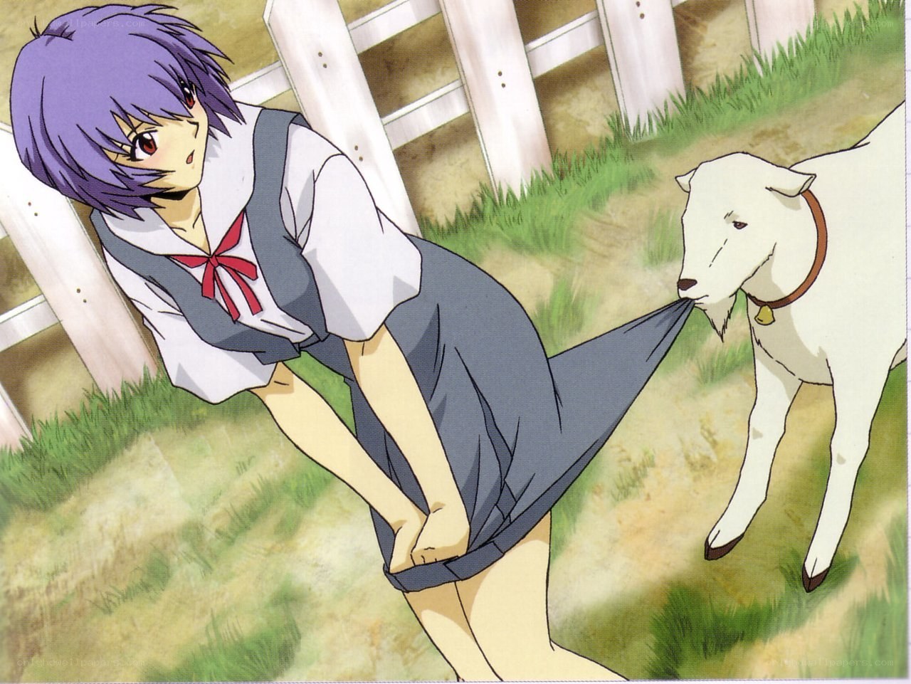 Girl being pulled by a goat