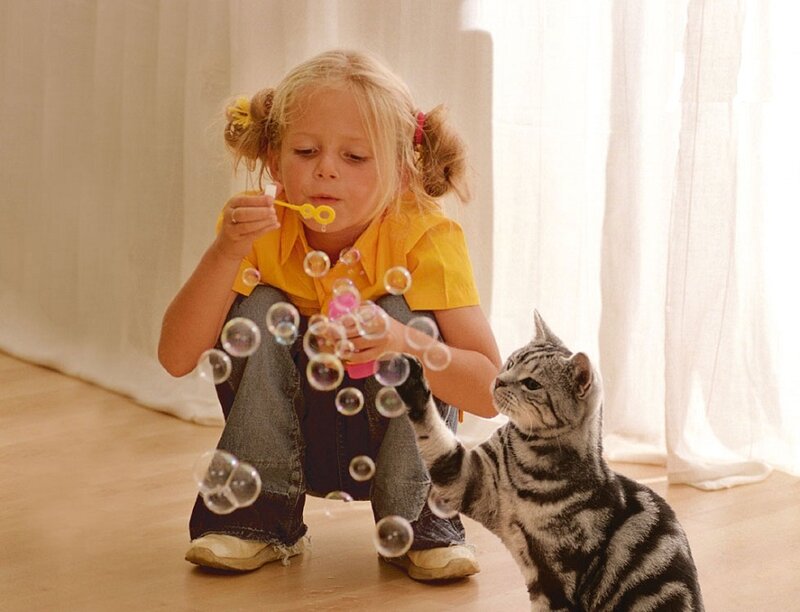 Girl Blowing Bubbles with Cat — Yellow