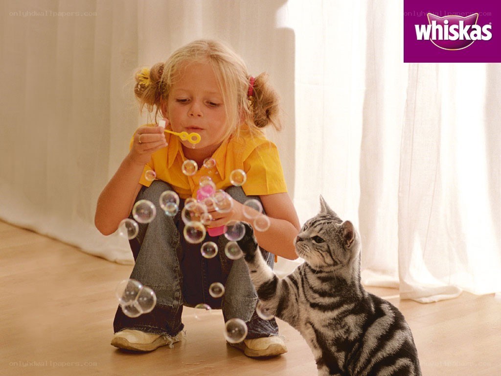 girl blowing bubbles with cat