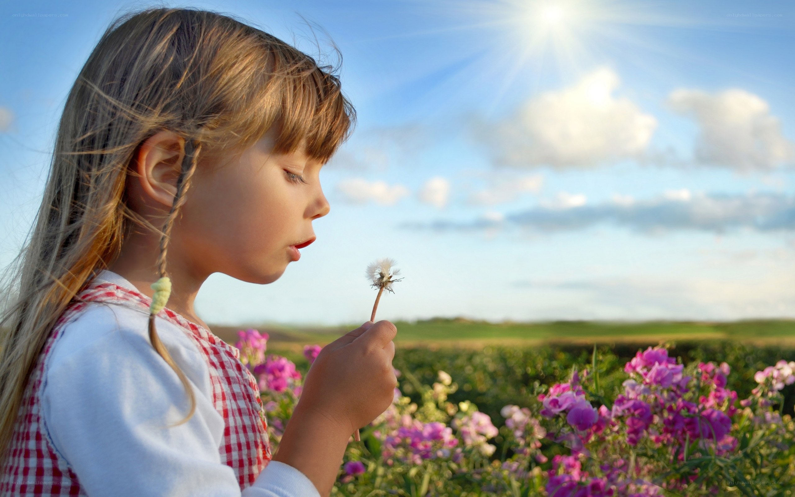 Girl blowing dandelion in field