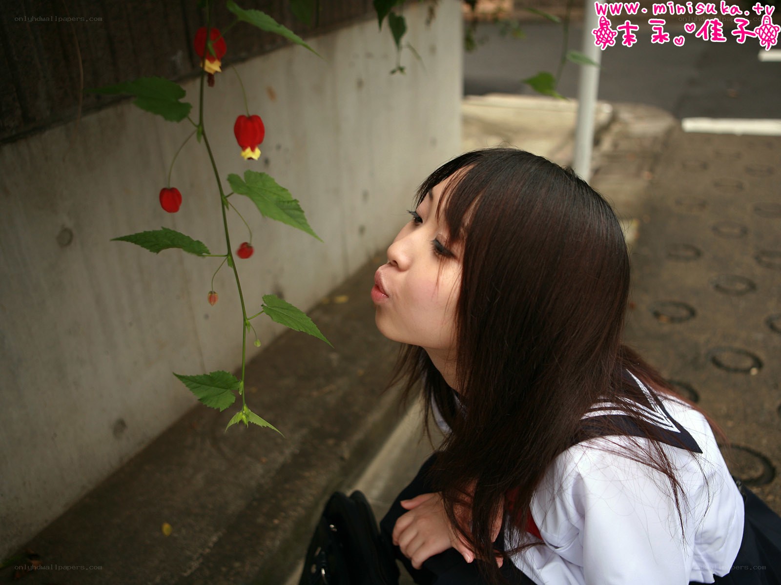 girl blowing on a flower