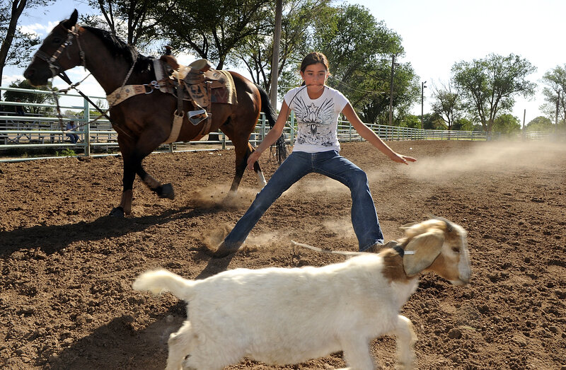 Girl Chasing Goat
