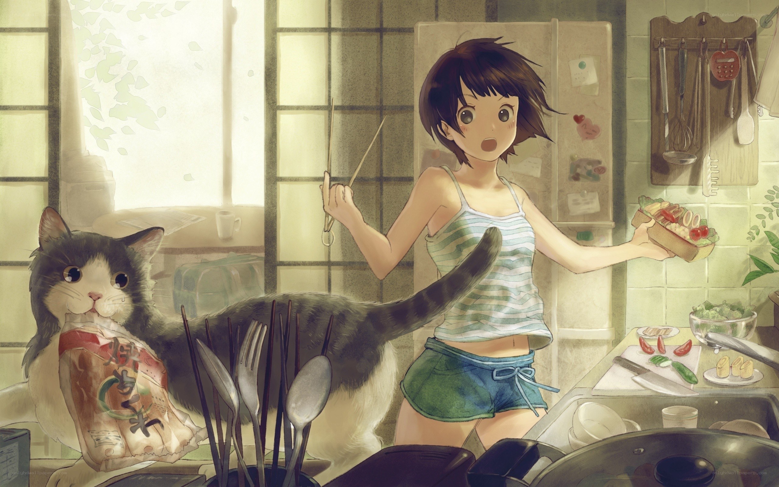 Girl cooking with cat in kitchen