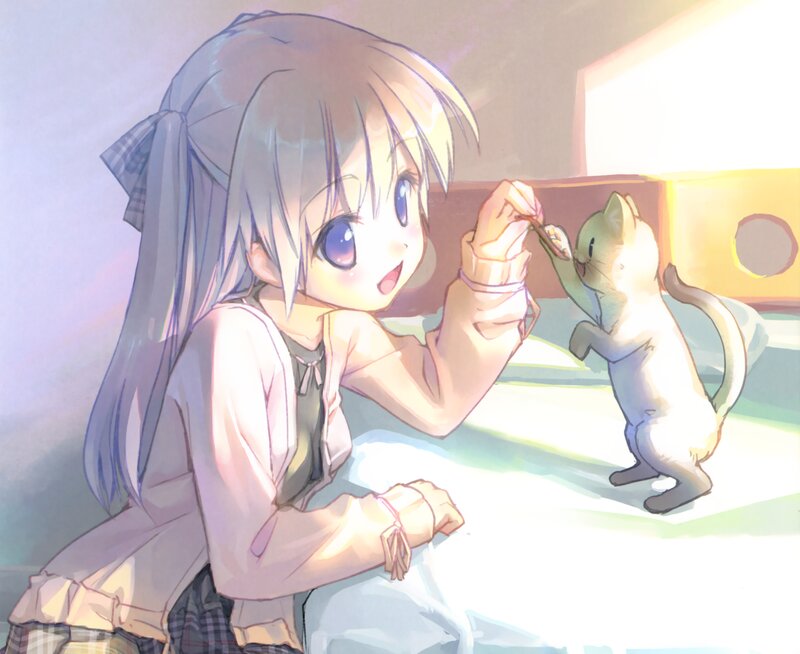 Girl Feeding a Cat