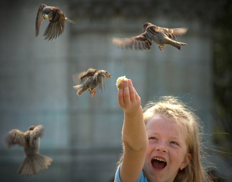 Girl Feeding Birds