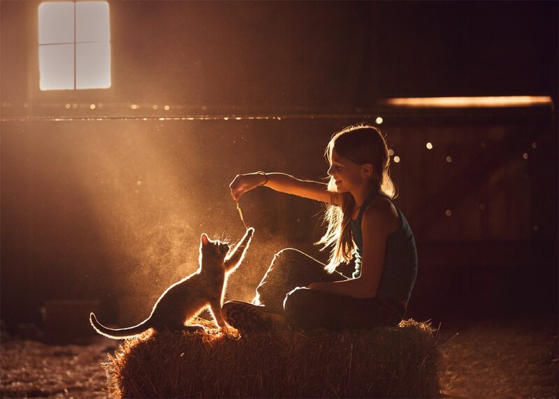 Girl Feeding Cat — Brown