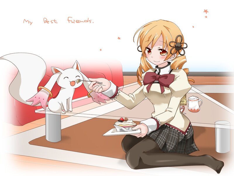 girl feeding cat dessert