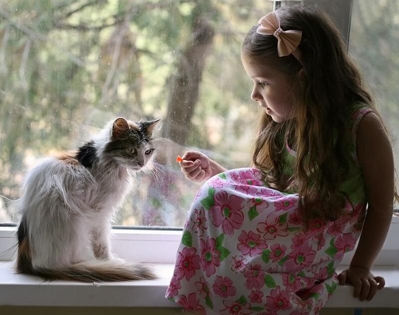 Girl Feeding Cat