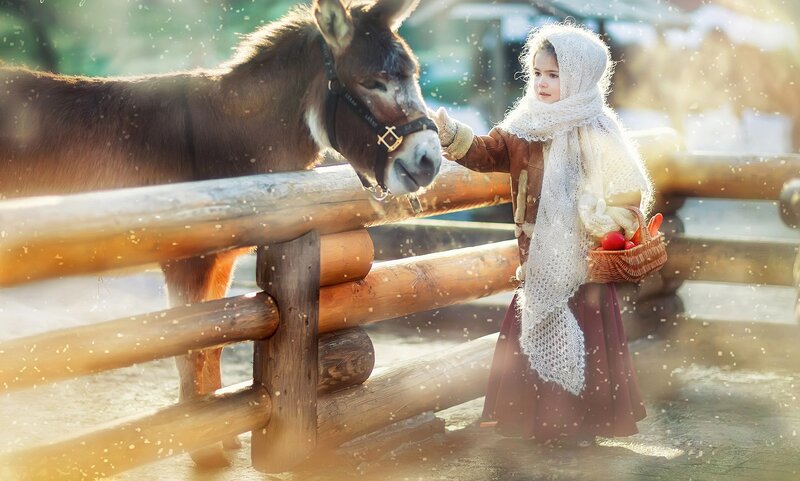 Girl Feeding Donkey — Brown