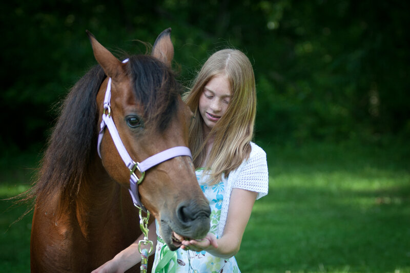 Girl Feeding Horse — Green