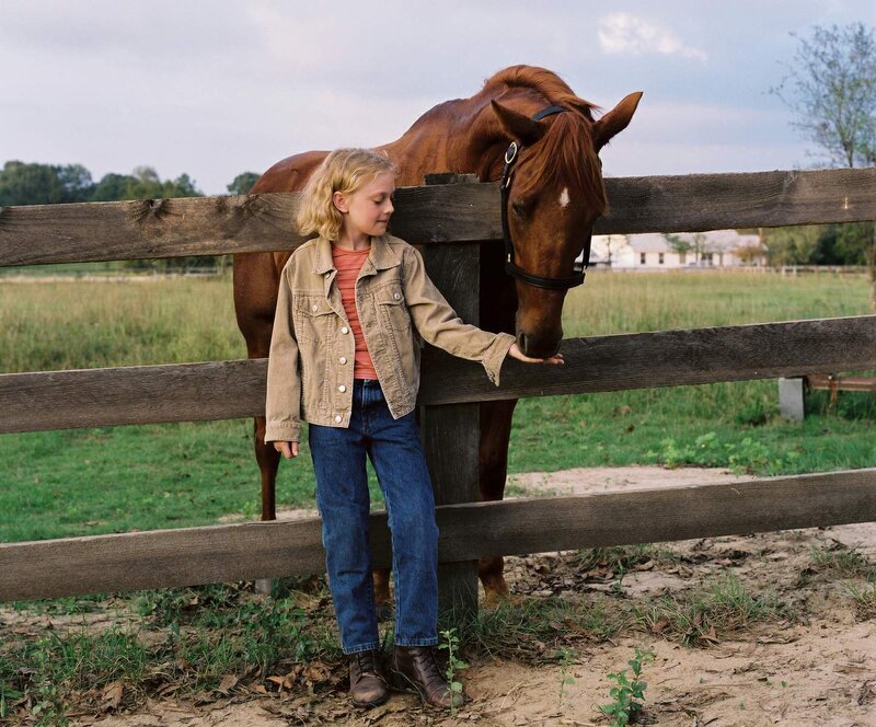 Girl Feeding Horse