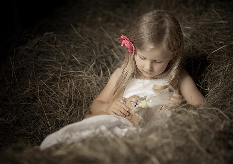 Girl Feeding Kitten — Brown