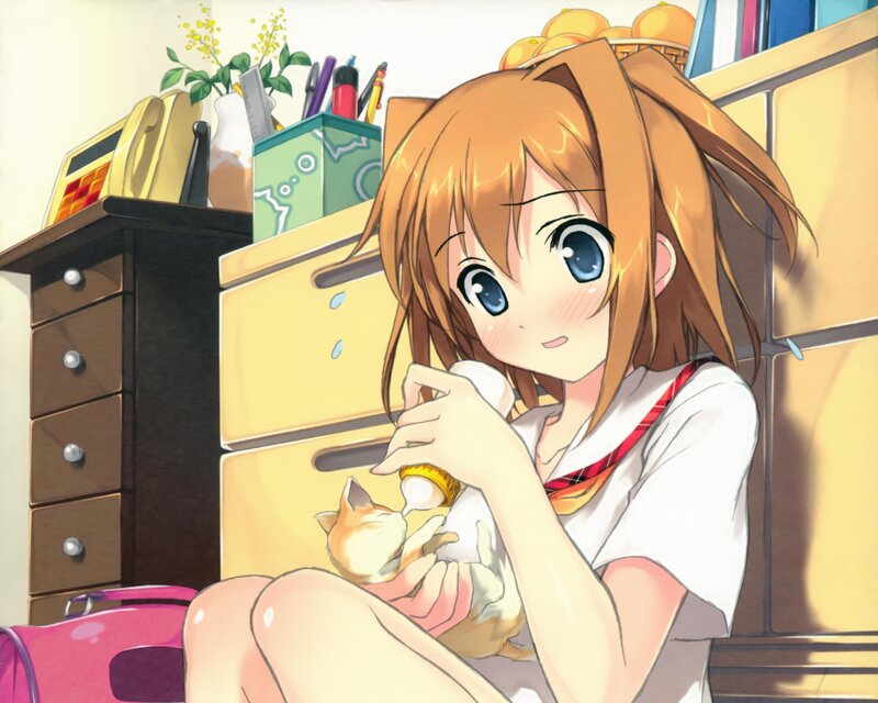 Girl Feeding Kitten — Orange