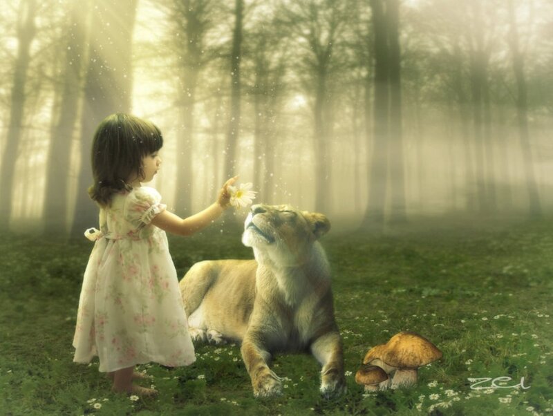 Girl Feeding Lioness