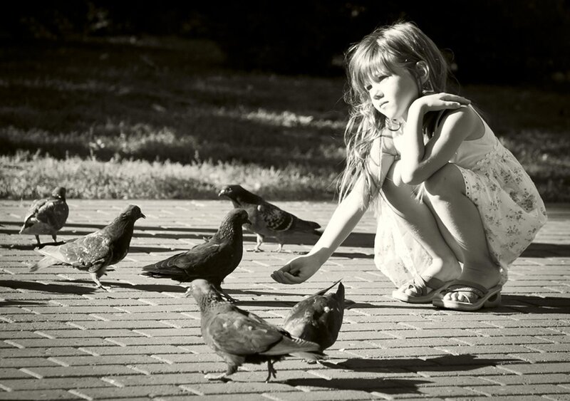 Girl Feeding Pigeons — Black