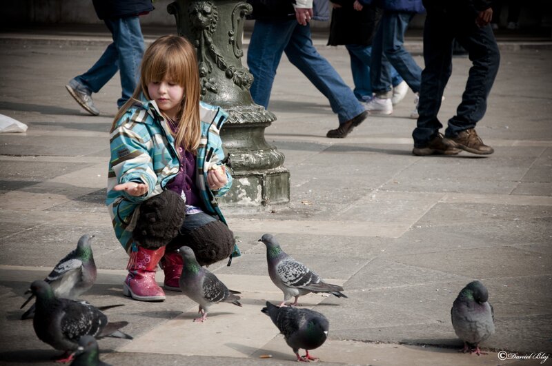 girl feeding pigeons in park