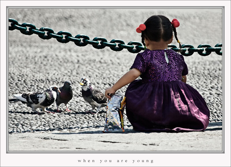 Girl Feeding Pigeons — Purple