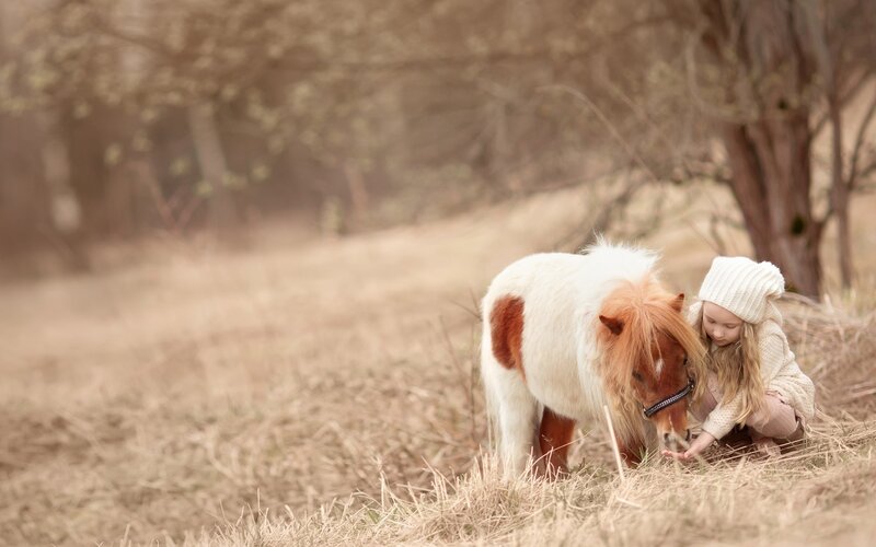 Girl Feeding Pony