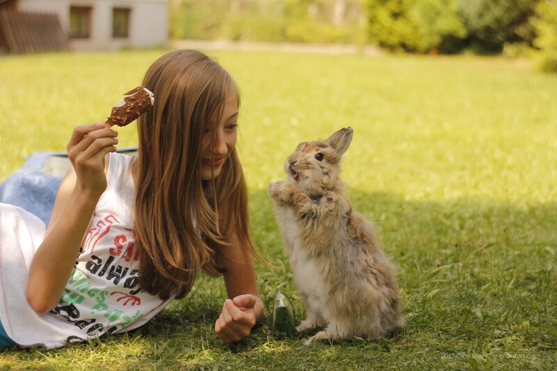 Girl Feeding Rabbit