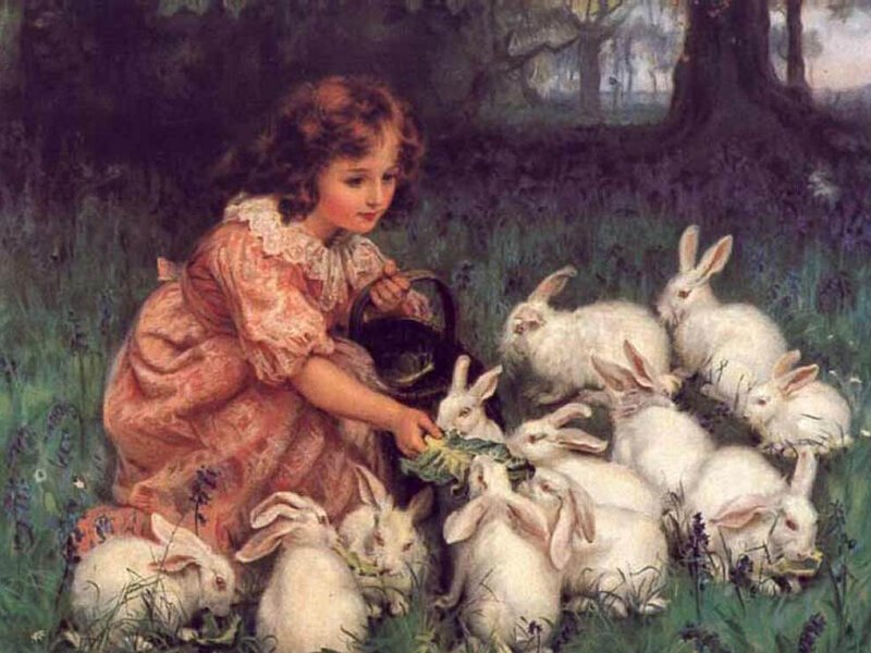 Girl Feeding Rabbits