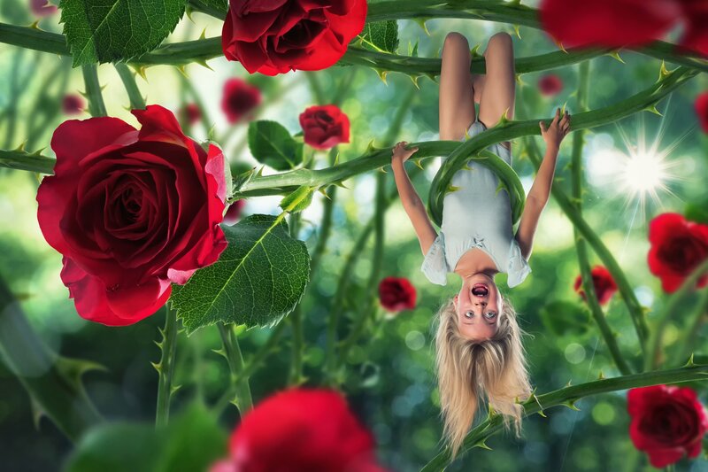 Girl Hanging from Rose Stems