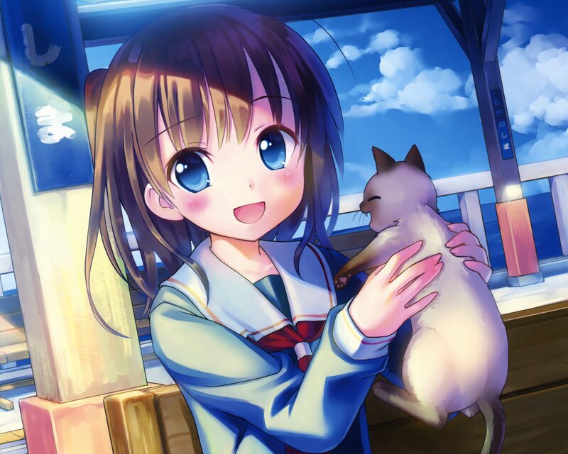 Girl Holding a Cat — Blue, Peaceful
