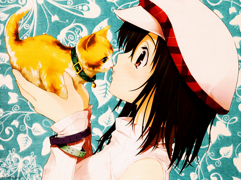 Girl Holding a Cat — White