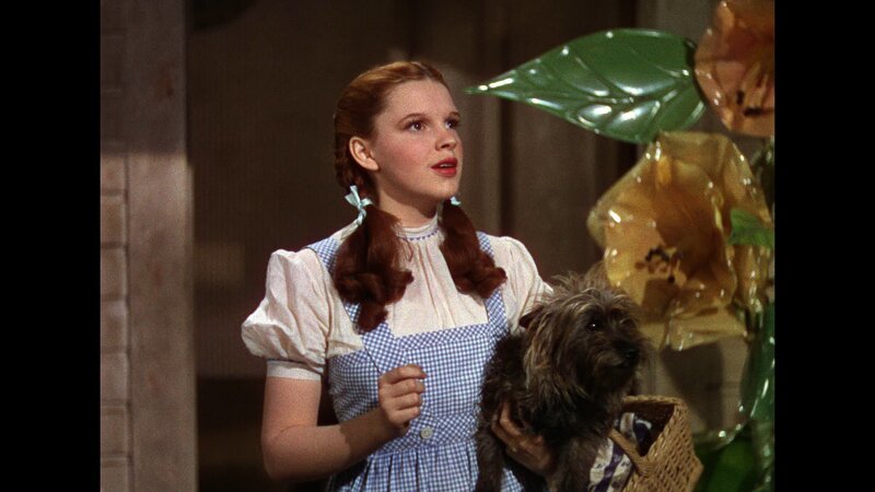 Girl Holding a Dog — Blue