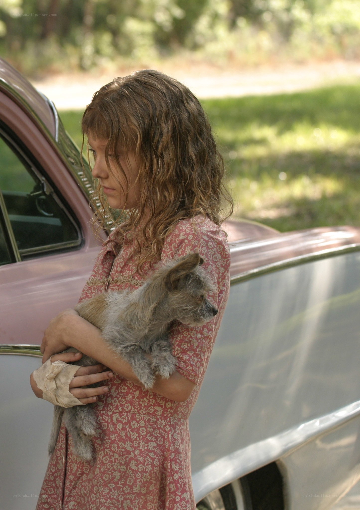 girl holding a dog