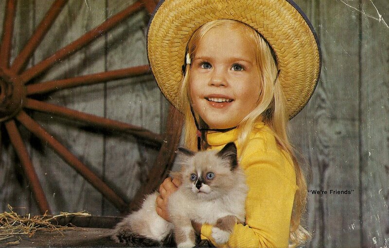 Girl Holding a Kitten — Yellow
