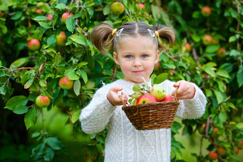 Girl Holding Apple Basket