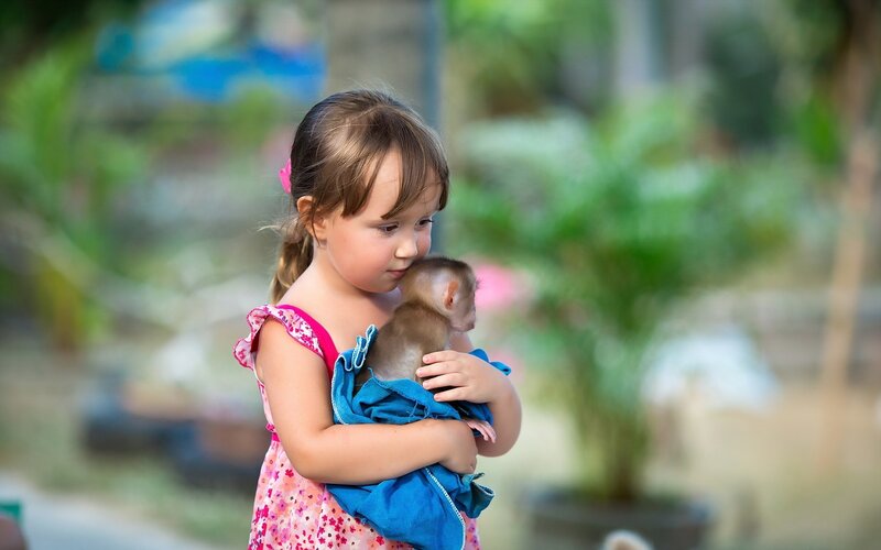 Girl Holding Baby Monkey