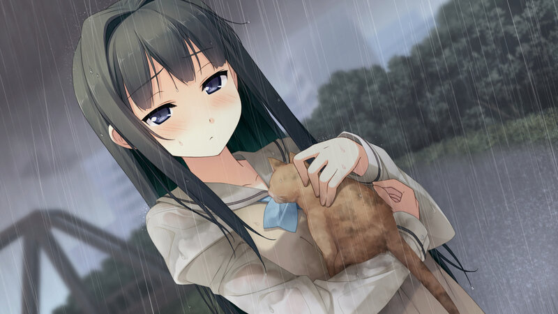 Girl Holding Cat in Rain — Gray