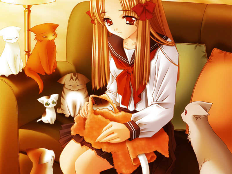 Girl Holding Cat — Orange
