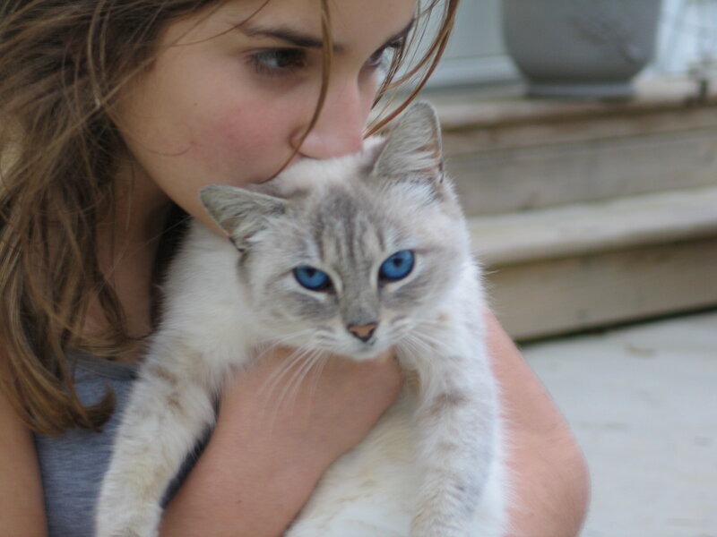 Girl Holding Cat — White, Calm, Afternoon