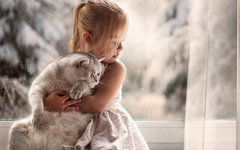 Girl Holding Cat — White, Calm, Winter, Photograph
