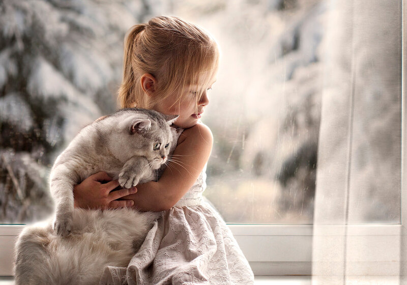 Girl Holding Cat — White, Calm, Winter