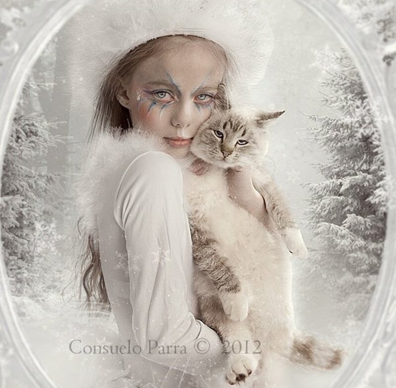 Girl Holding Cat — White, Serene