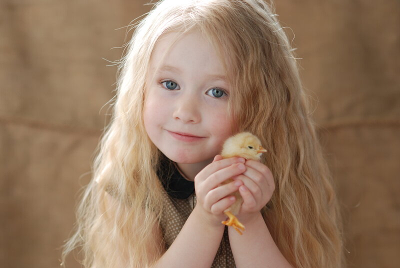 Girl Holding Chick — Yellow