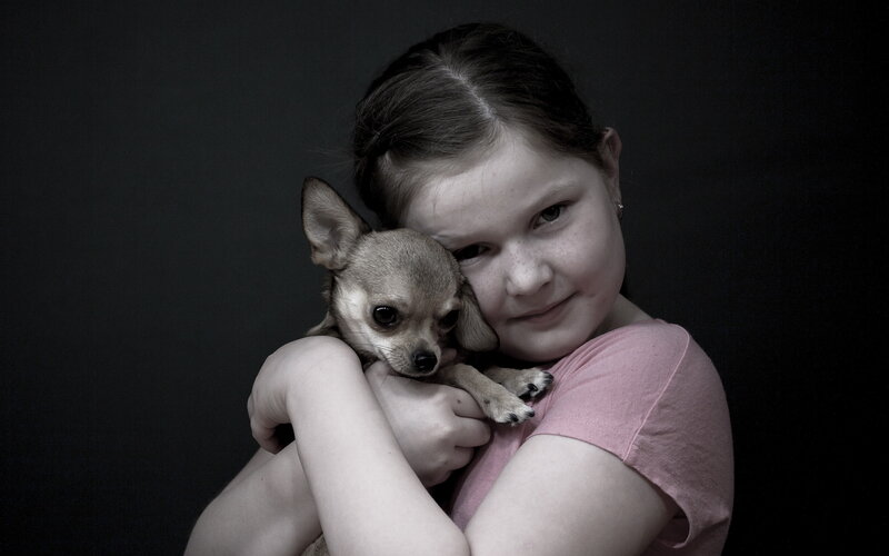 Girl Holding Chihuahua