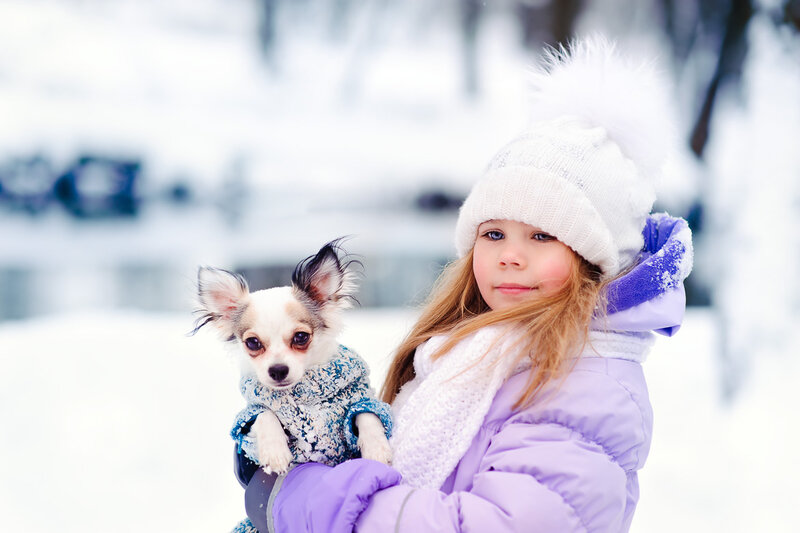 Girl Holding Chihuahua — White