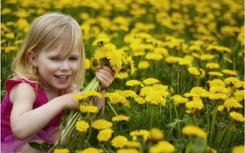 Girl Holding Dandelions