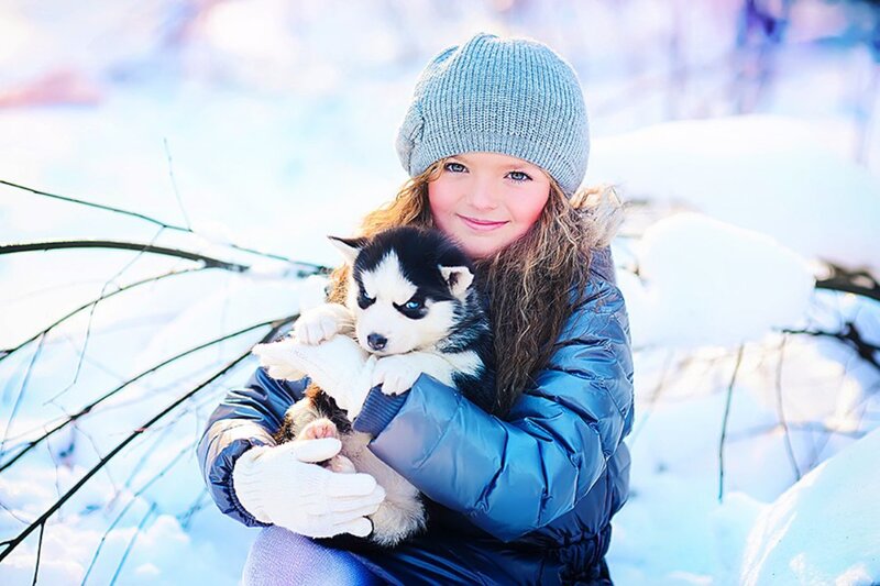 Girl Holding Husky Puppy — Blue