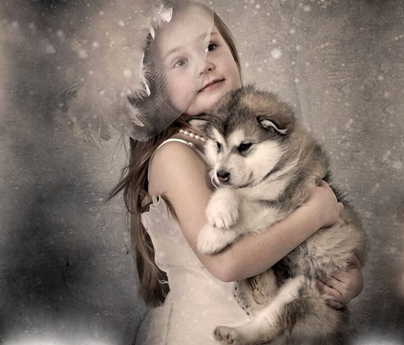 Girl Holding Husky Puppy