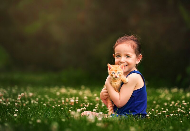 Girl Holding Kitten — Green, Peaceful