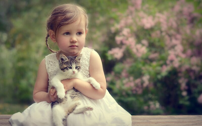 Girl Holding Kitten — White, Calm, Spring