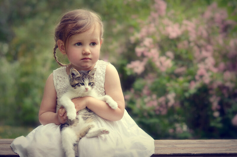 Girl Holding Kitten — White, Calm