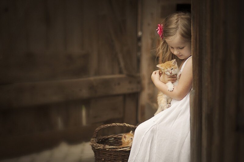 Girl Holding Kitten — White, Serene