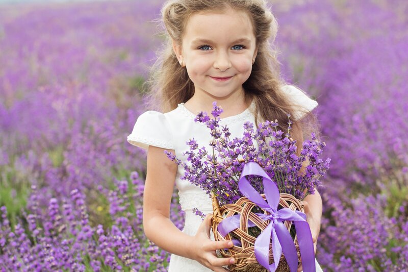 Girl Holding Lavender Basket — Purple